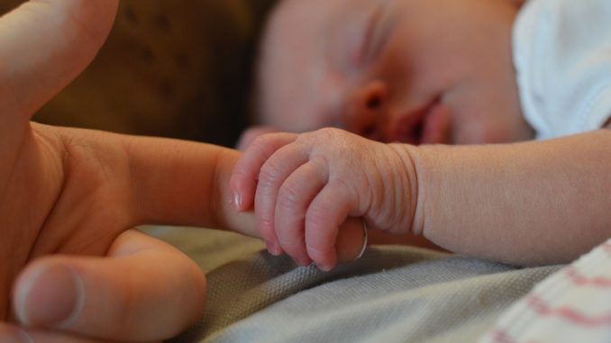 nárok na mateřskou dovolenou nemá každá maminka